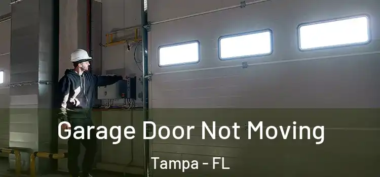  Garage Door Not Moving Tampa - FL