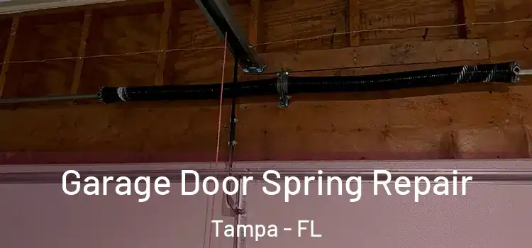  Garage Door Spring Repair Tampa - FL