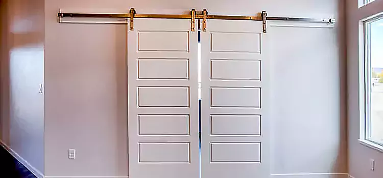 Glass Barn Door with Installation Hardware Kit Tampa