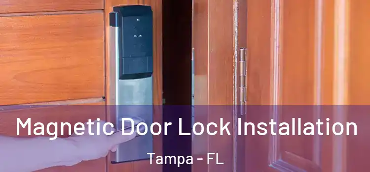  Magnetic Door Lock Installation Tampa - FL